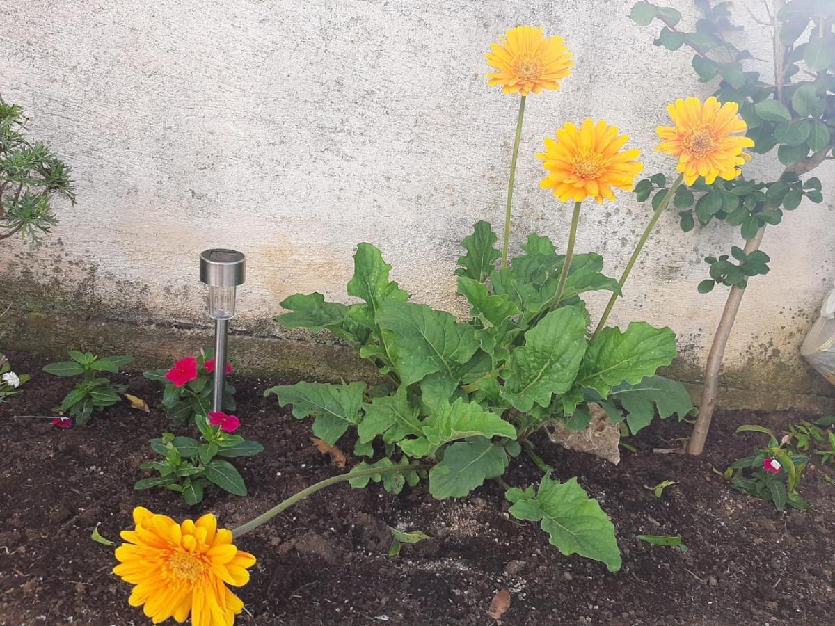 H&F Apartmani Vir Zewnętrze zdjęcie